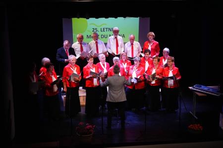 25 let MePZ DU Mirna, foto Pep (8)